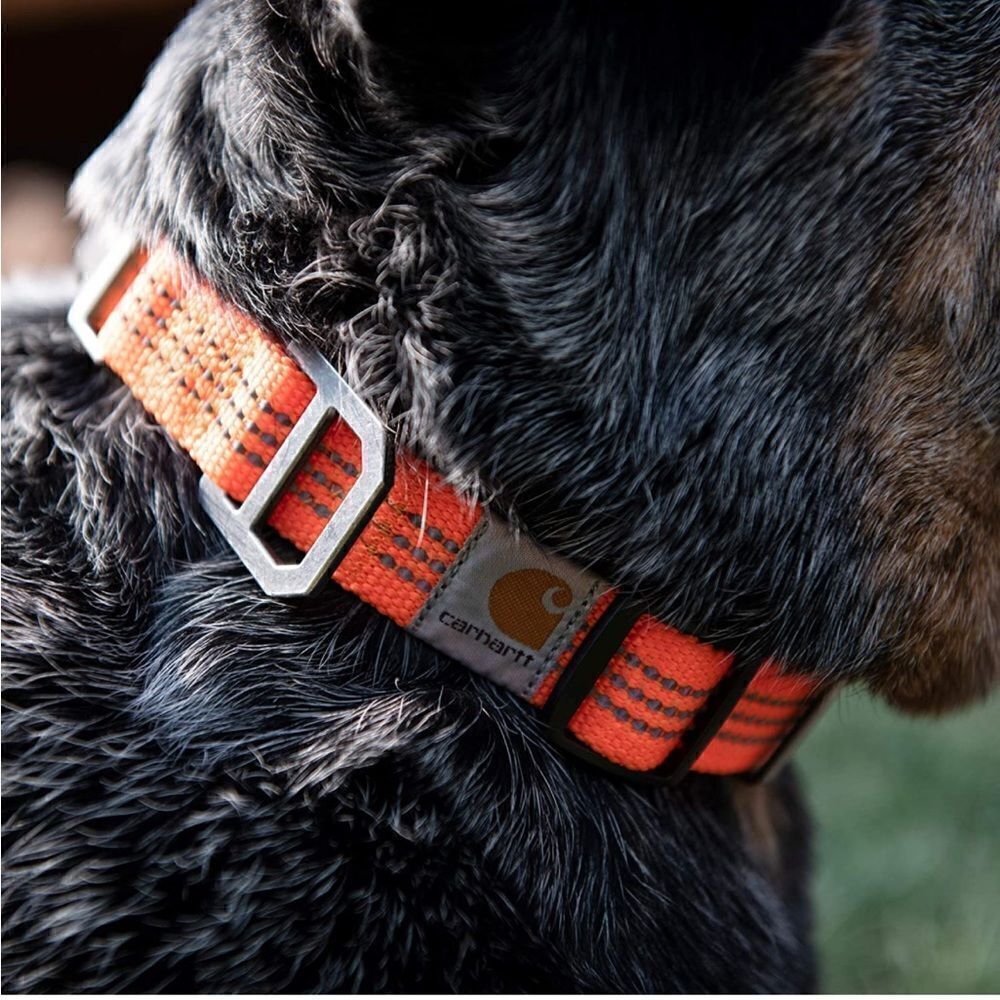 🥳 HP 🥳 Orange Carhartt Dog Collar